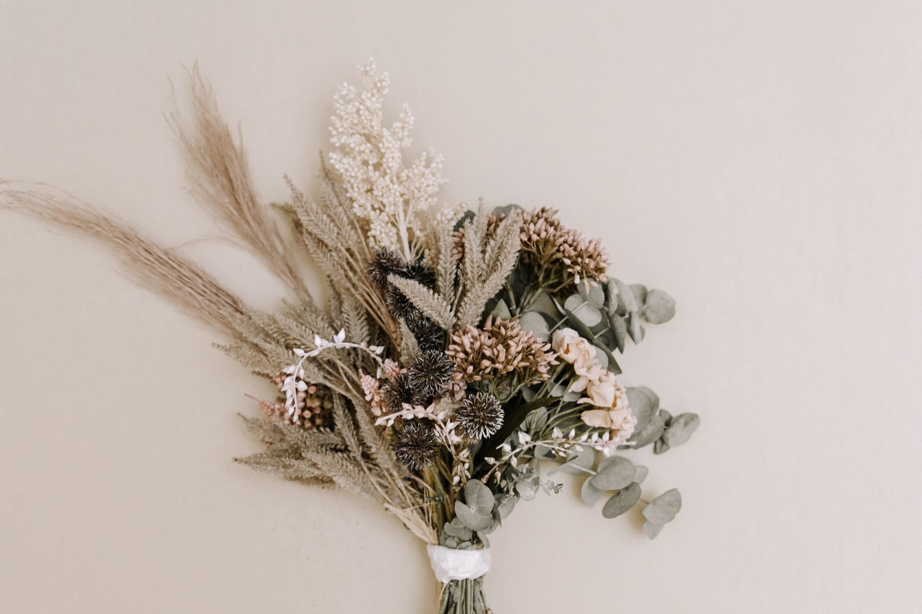 Bouquet of Dried Flowers on Light Background